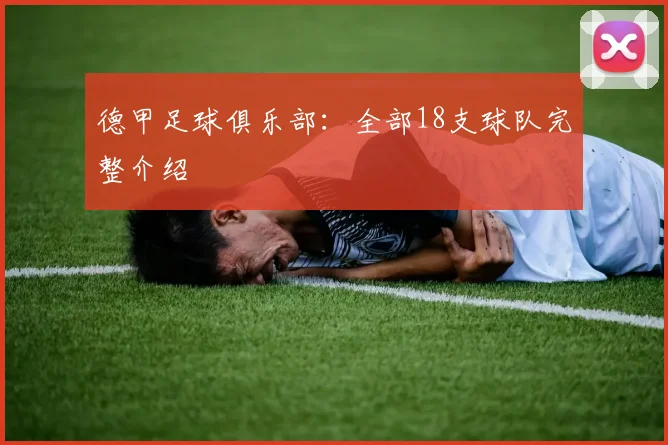德甲足球俱乐部：全部18支球队完整介绍
