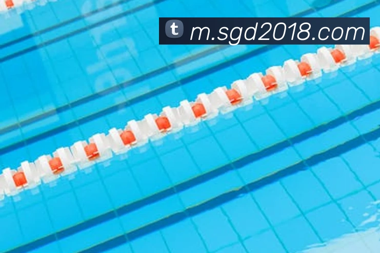 开运体育平台生态图